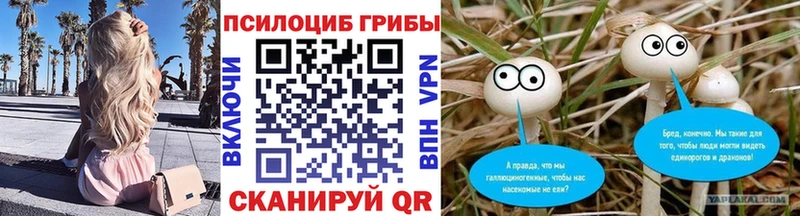 Псилоцибиновые грибы Psilocybine cubensis  Купить  Иркутск 